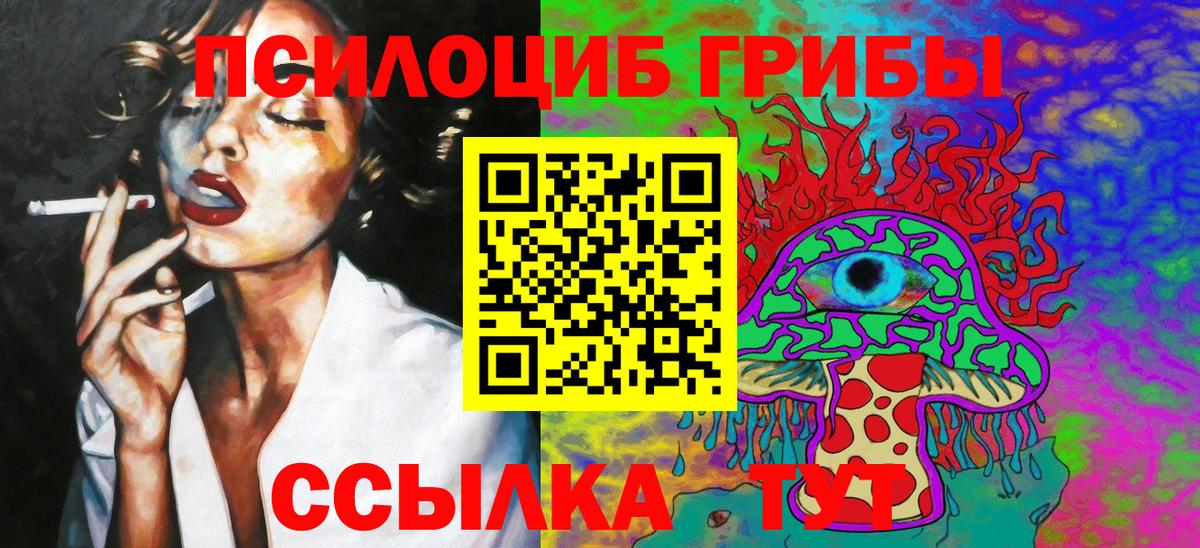 Псилоцибиновые грибы Cubensis Щёлково